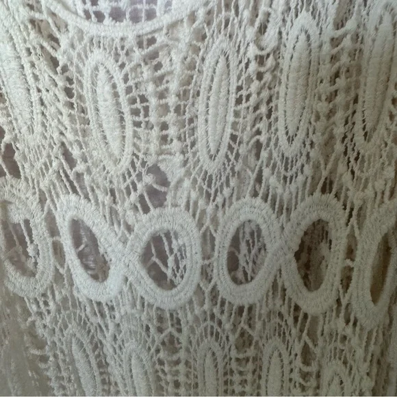 Blue Island Ivory Lace Dress - Picture 2 of 4